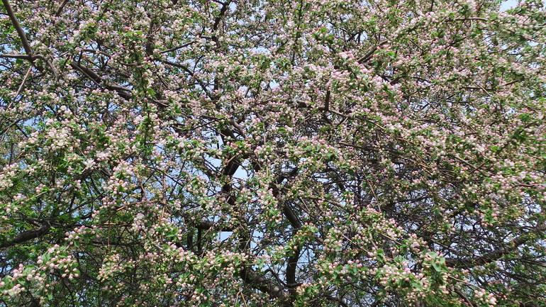 по дороге из школы домой