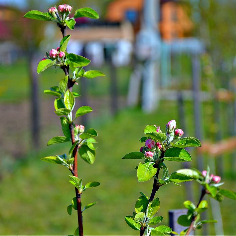 Зачем строить дом??? (с фото)