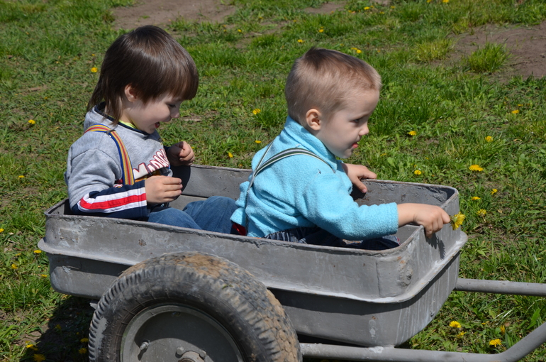 Зачем строить дом??? (с фото)