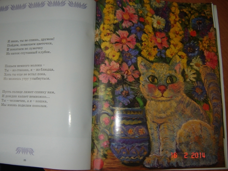 О кошках и котах