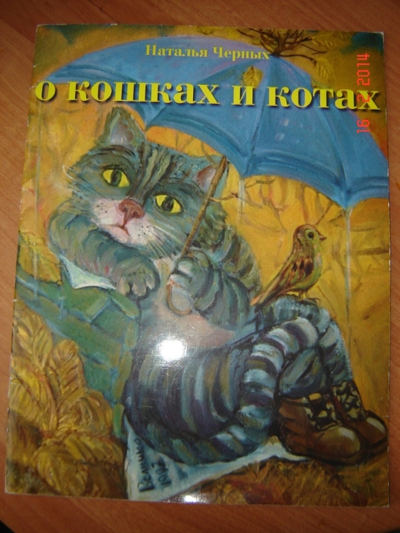 О кошках и котах