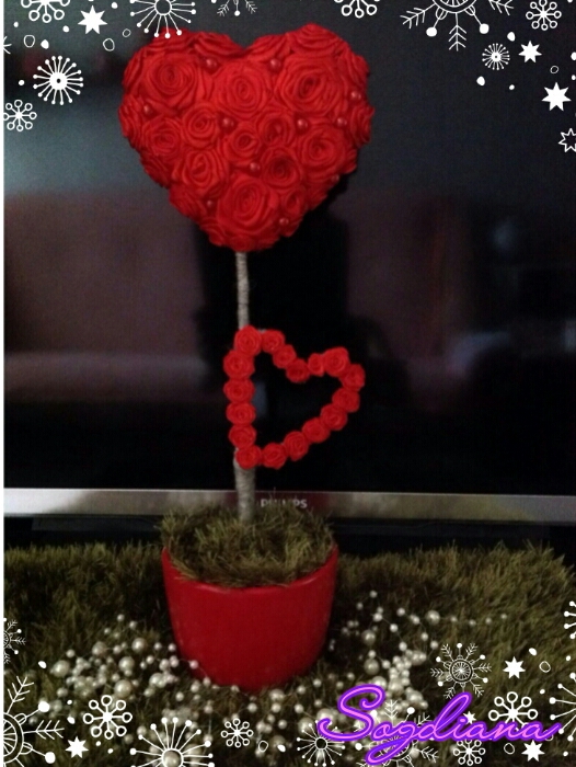 Моё новое деревце.