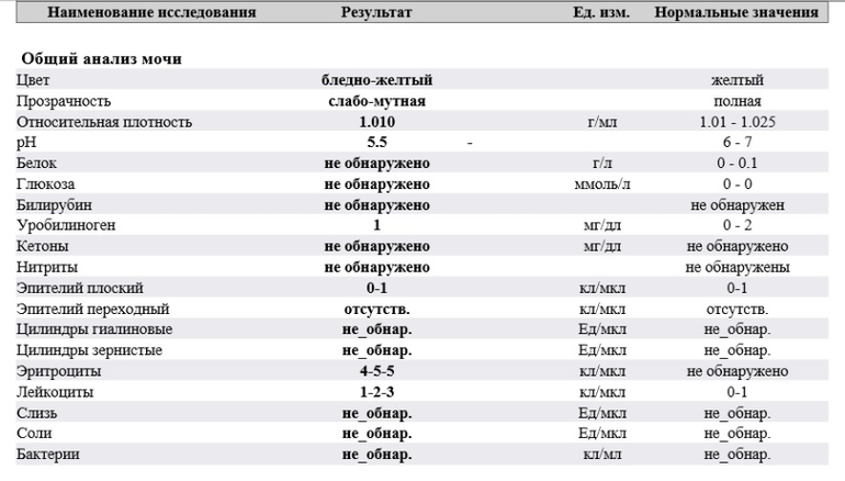 лейкоциты белок и бактерии в моче