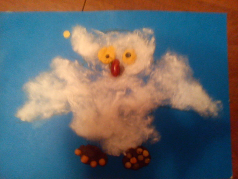 День 4. Птицы леса