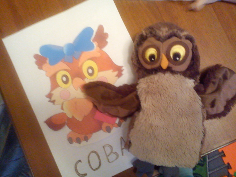 День 4. Птицы леса