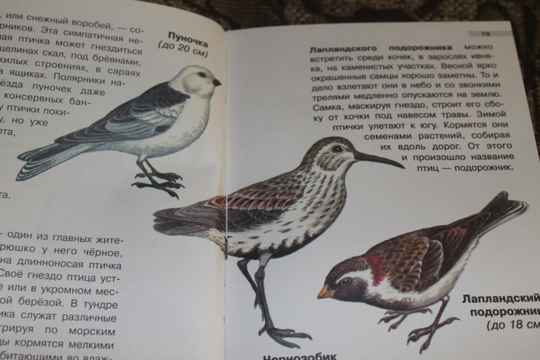 Пока просто хвастаюсь подробно напишу позже)