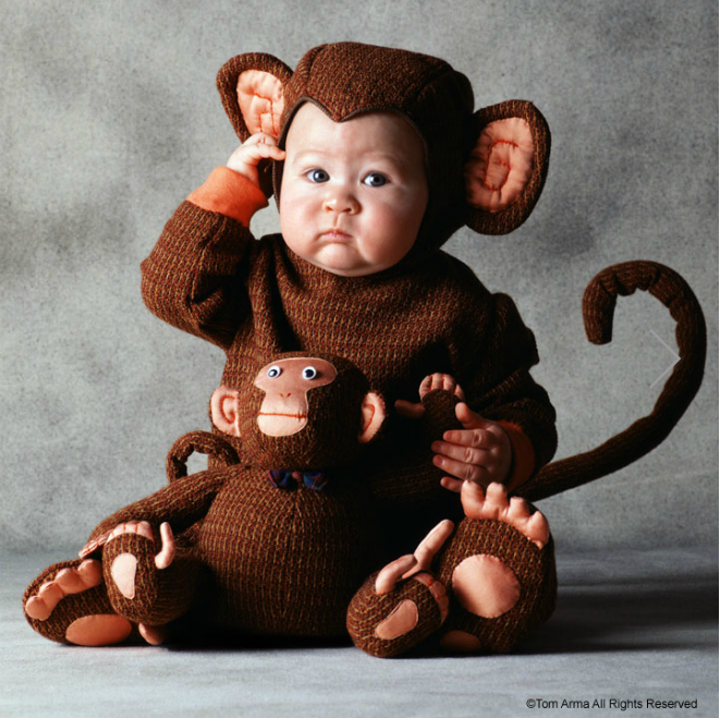 Пожалуйста, спасите животных