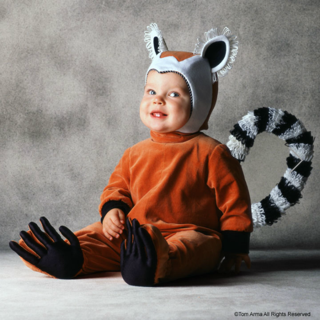 Пожалуйста, спасите животных