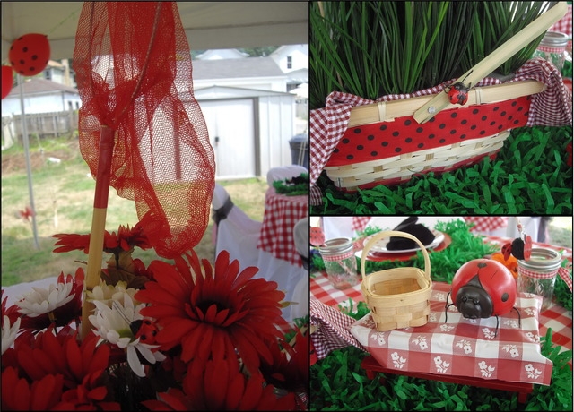 Little party: День Рождения-пикник в стиле божьей коровки