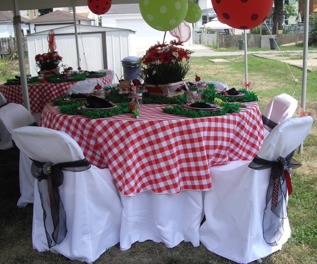 Little party: День Рождения-пикник в стиле божьей коровки