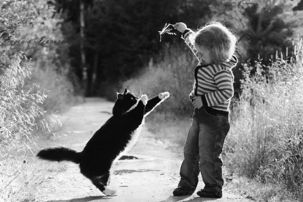 Воображалки