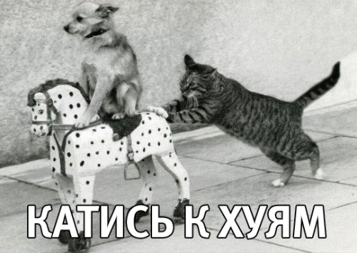 Минутка юмора:) Возможно, под баянчик:)