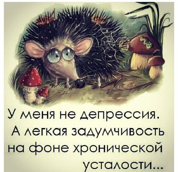 Квест игра по экологии сценарий для старшеклассников Квест игра по экологии сценарий для старшеклассников