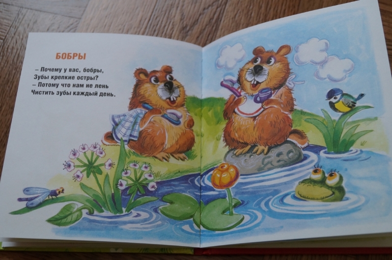 Наши новинки