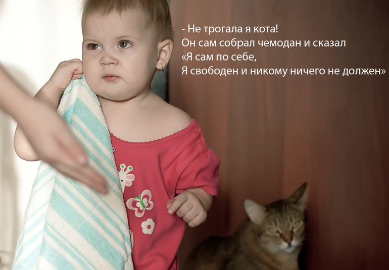 Всем кто ищет кота в одноклассниках посвящается. Вот он!