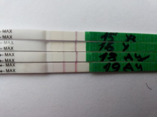 Она родимая)))