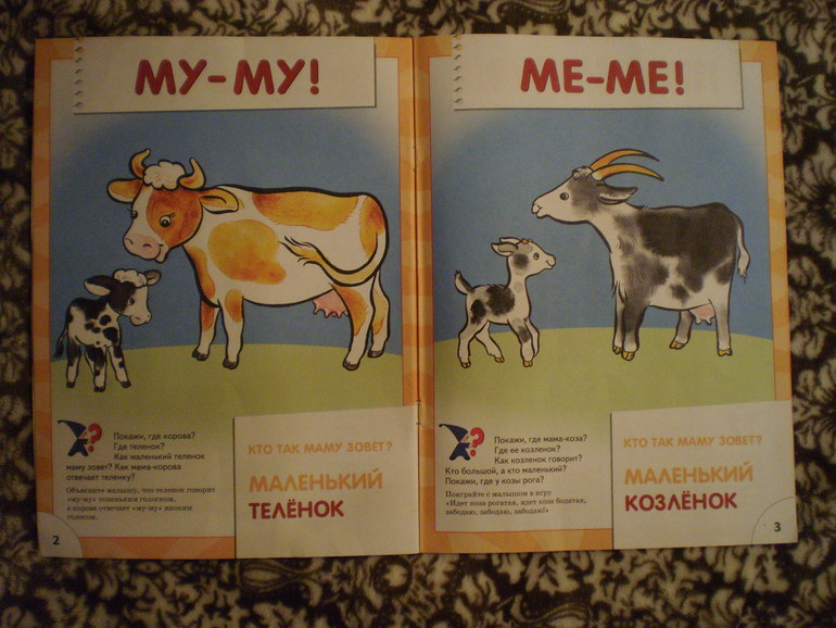 Как мы занимаемся по первой книжке