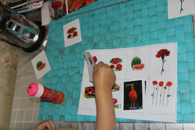 ТЗ Красный цвет. Цветы