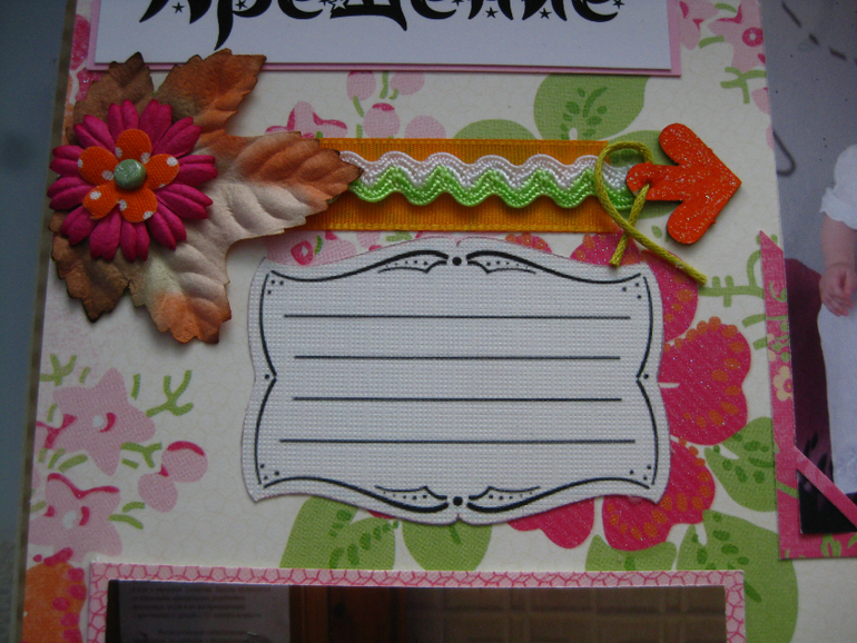 Альбом первого года жизни Алисы