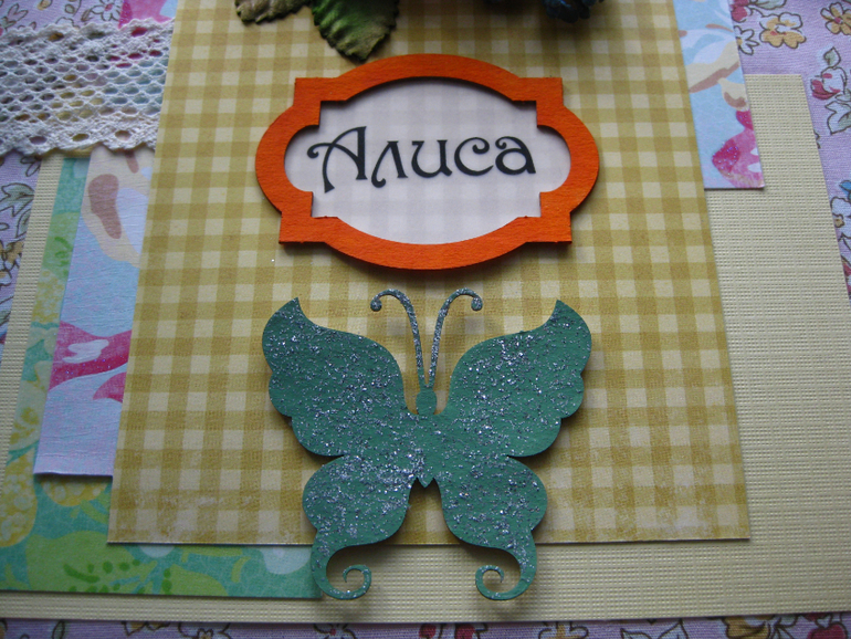 Альбом первого года жизни Алисы