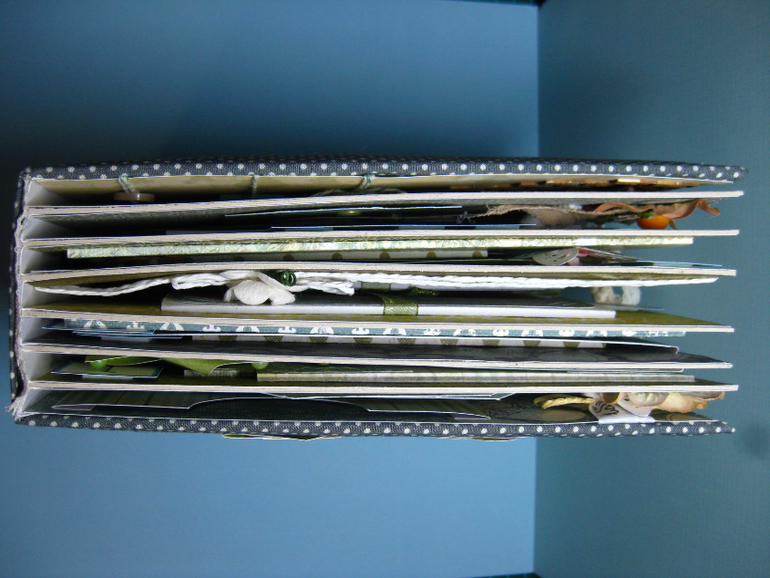 Альбом первого года жизни Малыша