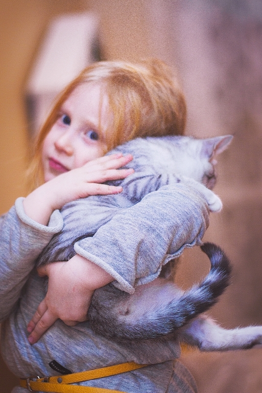 вечерние котофото