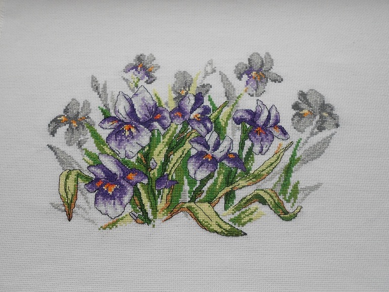 Первая в этом году, и еще немного