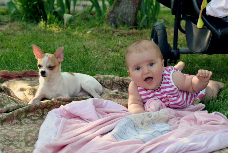 Как же я люблю лето!