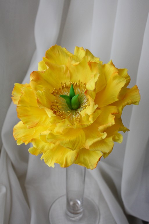 Пион и орхидея цимбидиум.