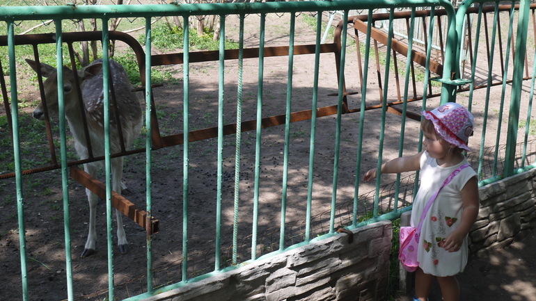 Зоопарк и Даша