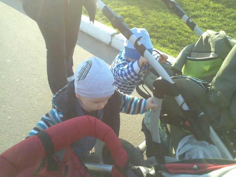 Наши прогулки...