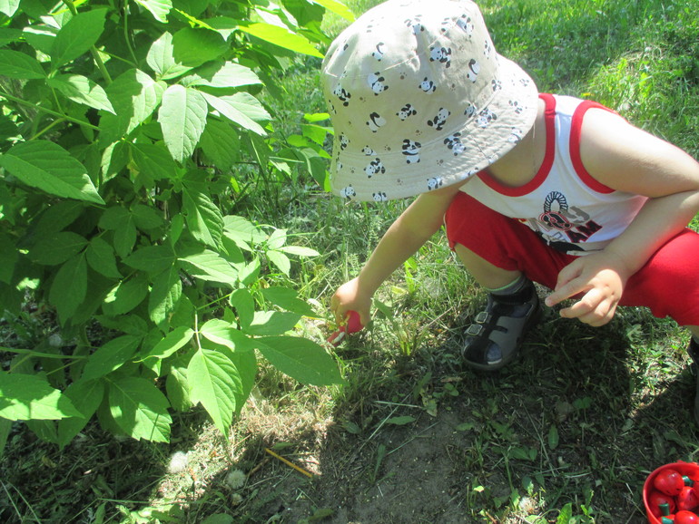 ТЗ Маша и медведь.