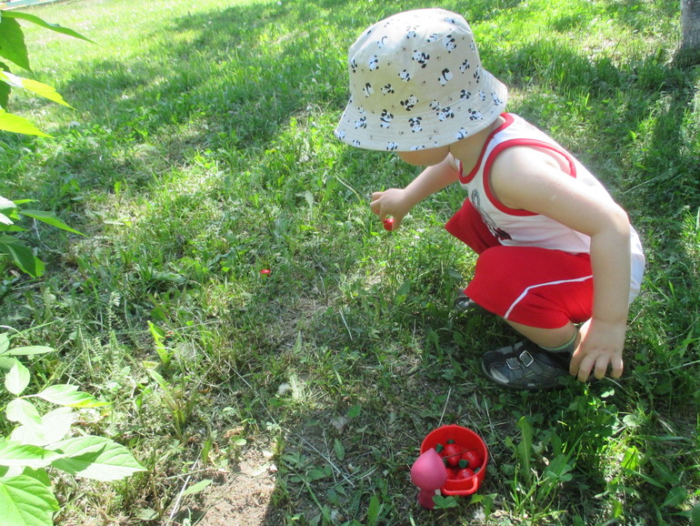 ТЗ Маша и медведь.