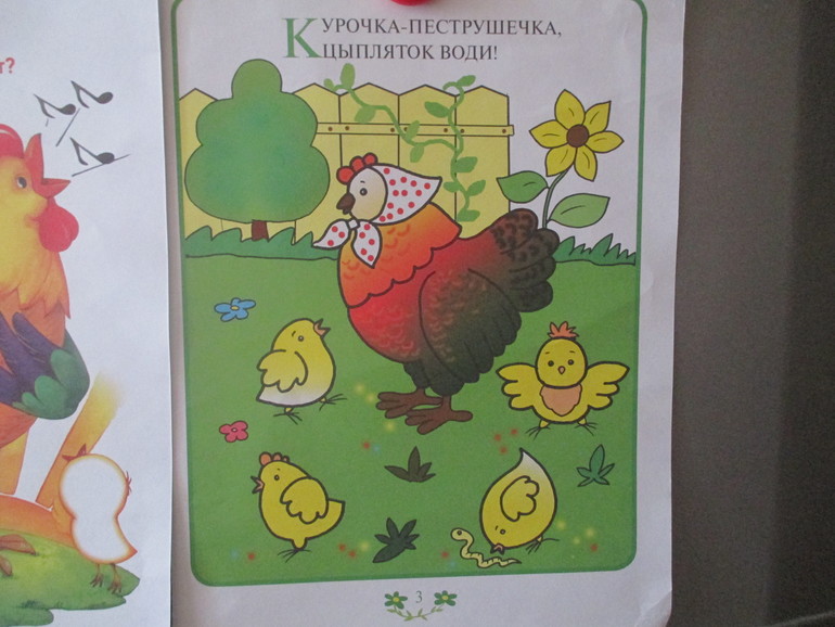 ФМ Птичий двор. Курочка и цыплята.