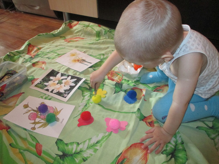 ФМ Как растут овощи.День четвертый