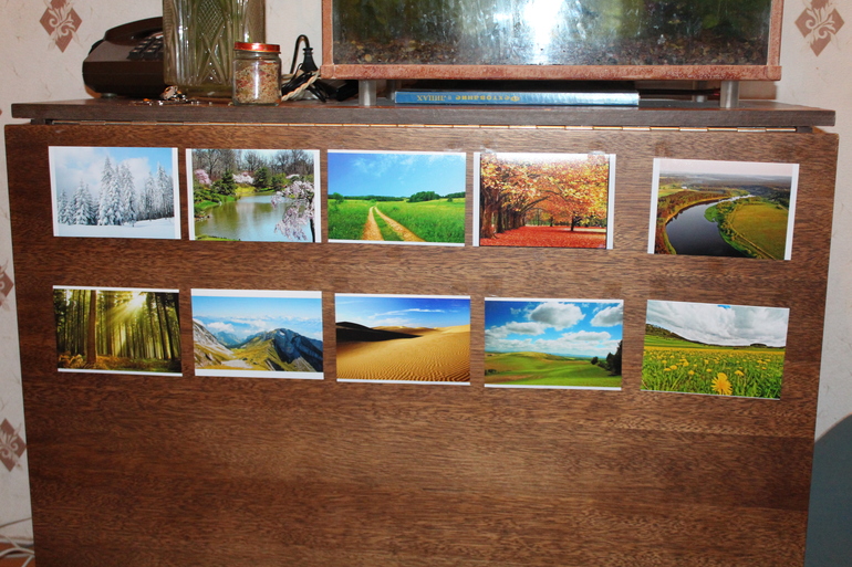 ТН "Навстречу природе"