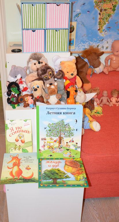 Наша организация книг, игр, игрушек, пособий