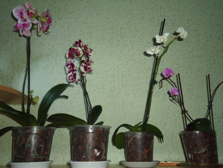 Вот компания такая.....