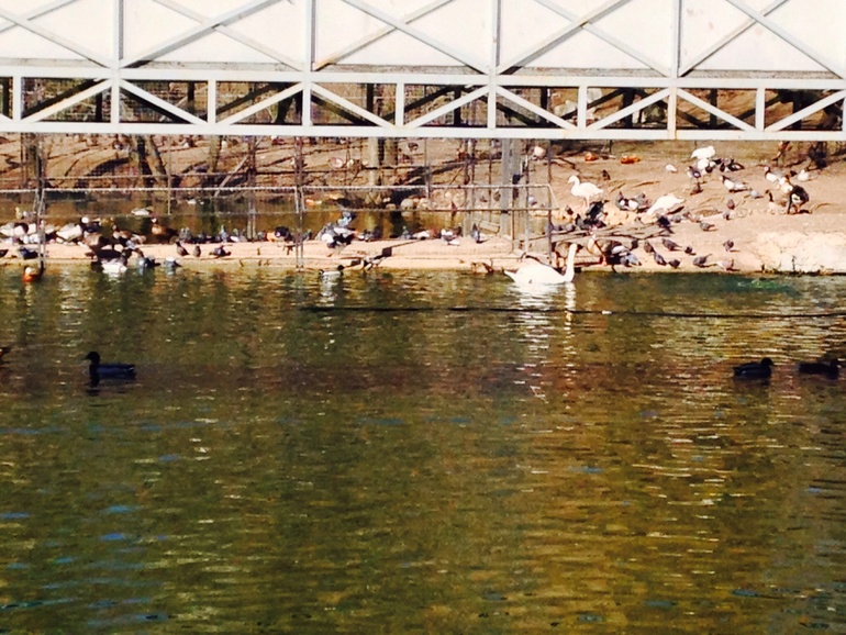 ЗООПАРК. Открытие сезона 2014.