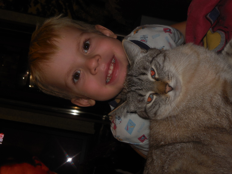 Мой зверинец