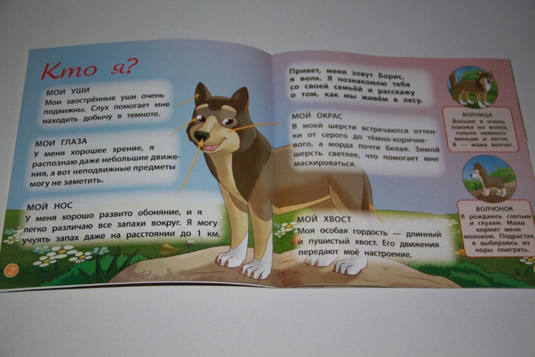 DeAgostini "Животные леса" 2-5 номер