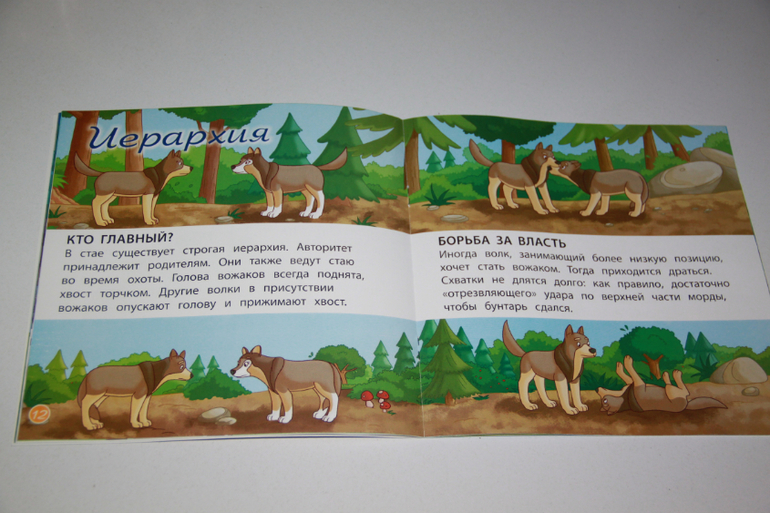 DeAgostini "Животные леса" 2-5 номер