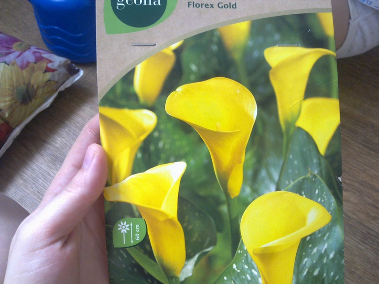 Немного "огородничества".