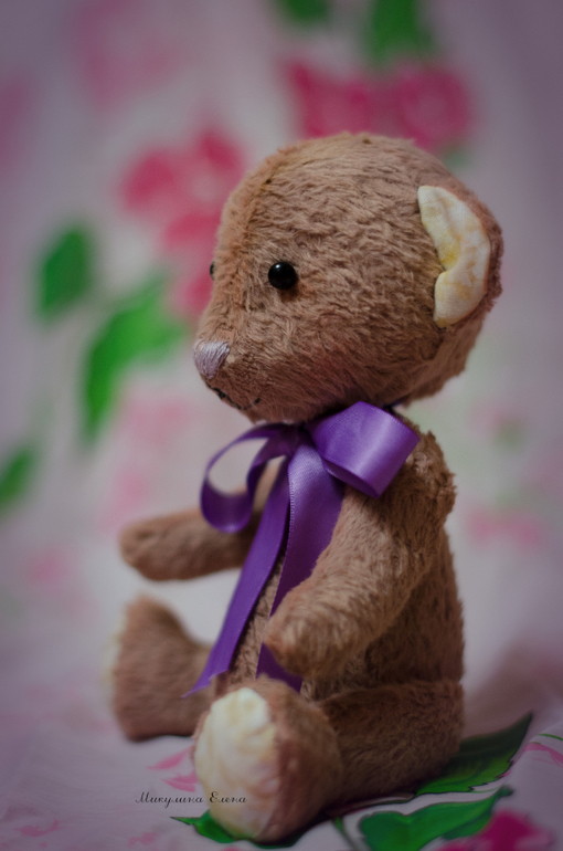 первый Мишка