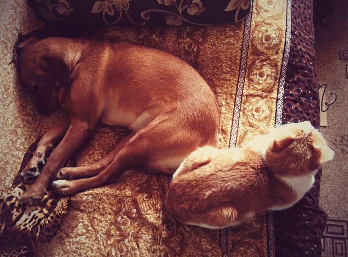 Один день из моей декретной жизни