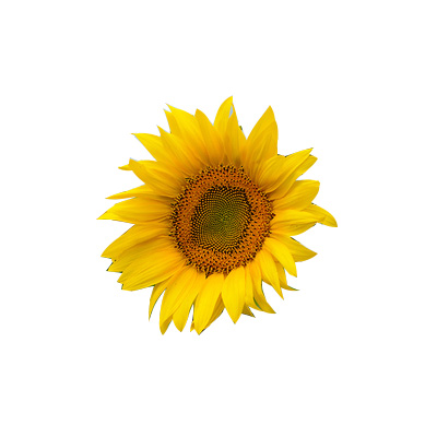 Контрольное задание № 10.