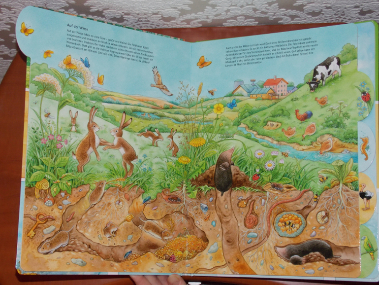 Развороты Meine Welt der Tiere by Hans-Günther Döring