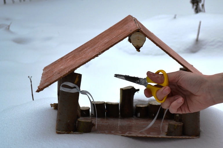 кормушка для птиц!