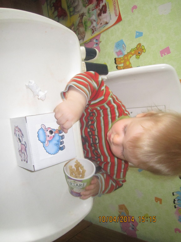 ТН "Скотный двор". День 4 - Овца