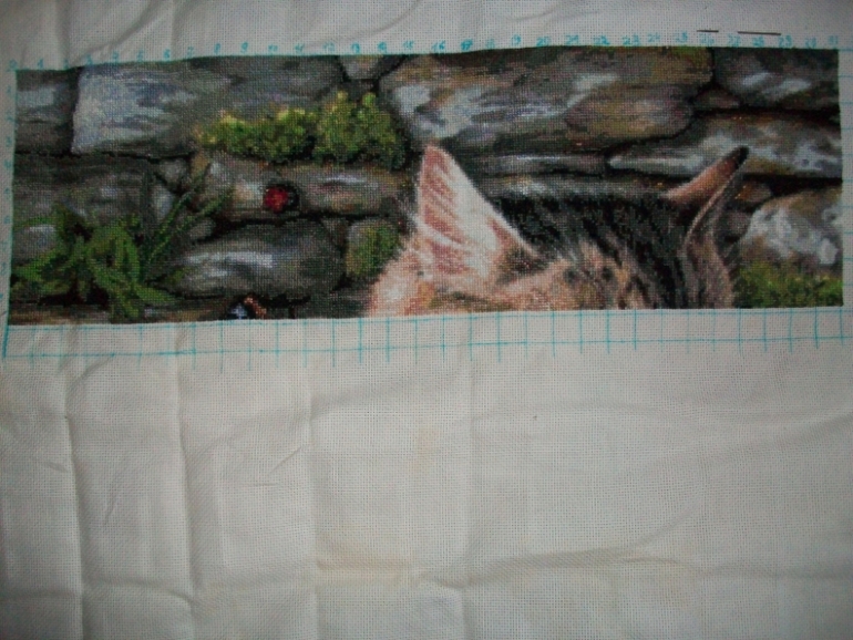 отчёт о котике)